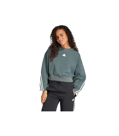 Pamja 1