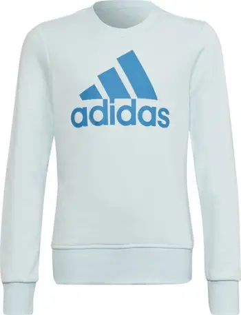 Bluzë me kapuç Adidas Big Logo Swt Jr HM8707, për fëmijë, blu