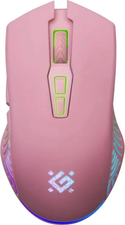 Pamja 2