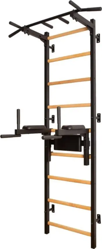 Shkallë për gjimnastikë Benchk (830580), 240cm, me paralele dhe parmak