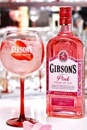 Gjin Gibson's Pink Premium - 1