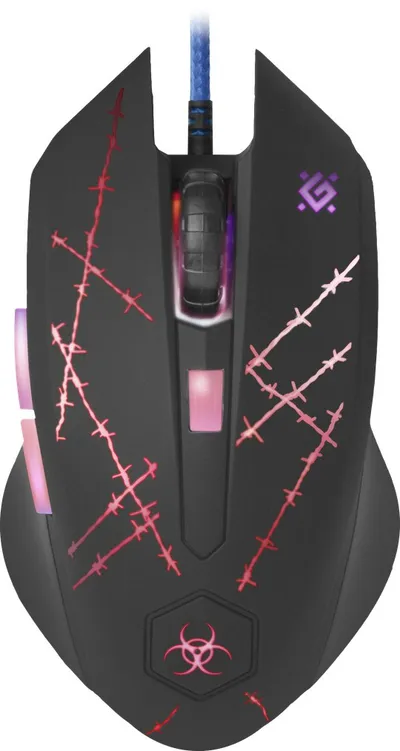 Pamja 6