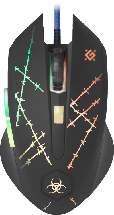 Pamja 7