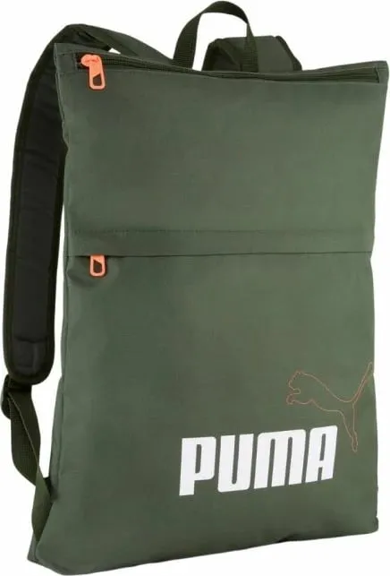 Pamja 1