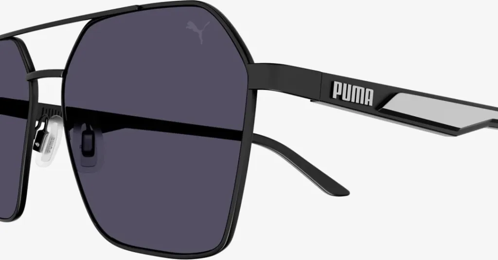 Pamja 1