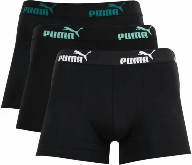 Pamja 1