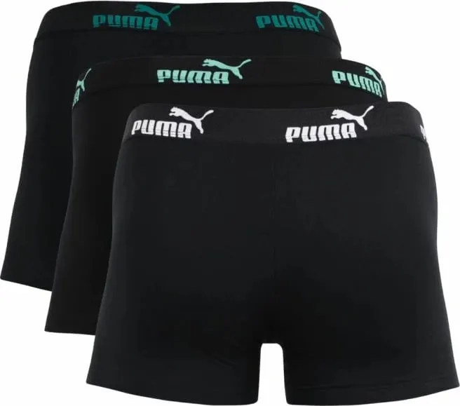 Pamja 2