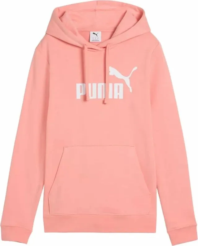 Pamja 1