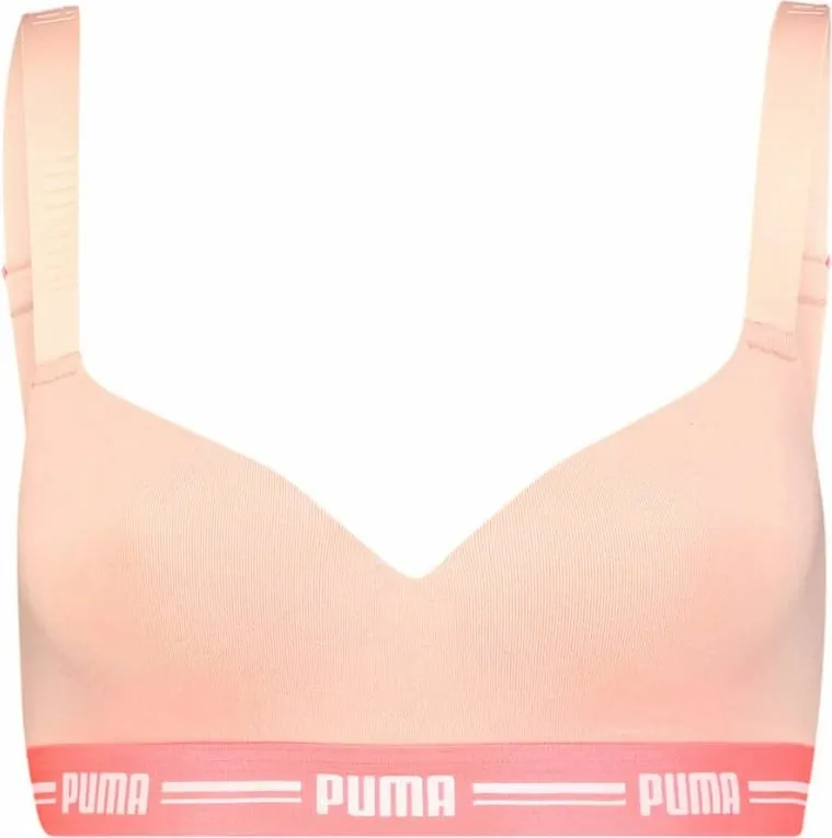 Pamja 1