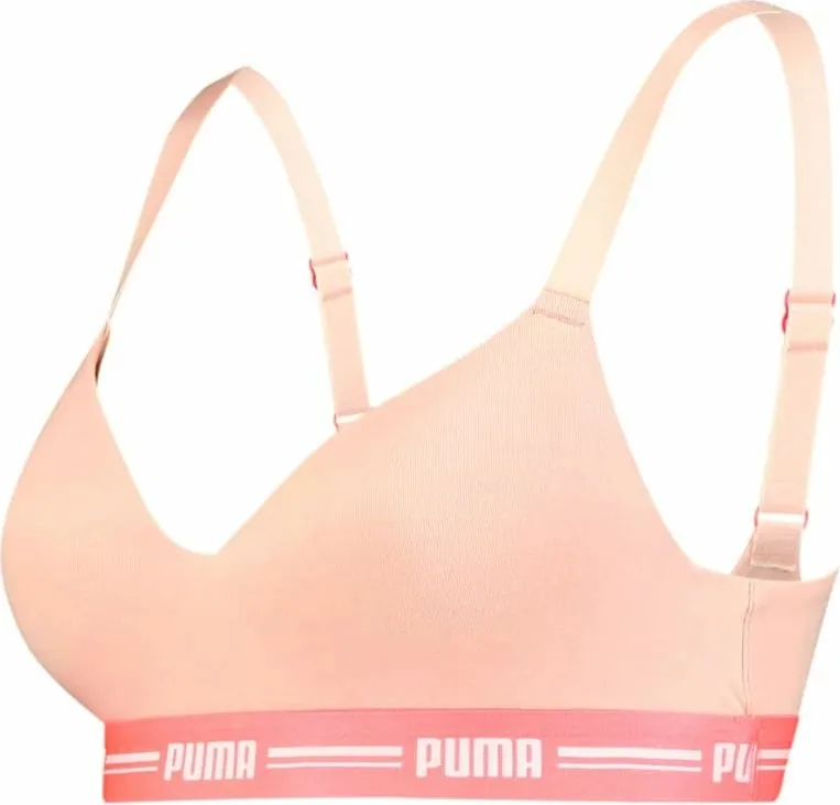 Pamja 2