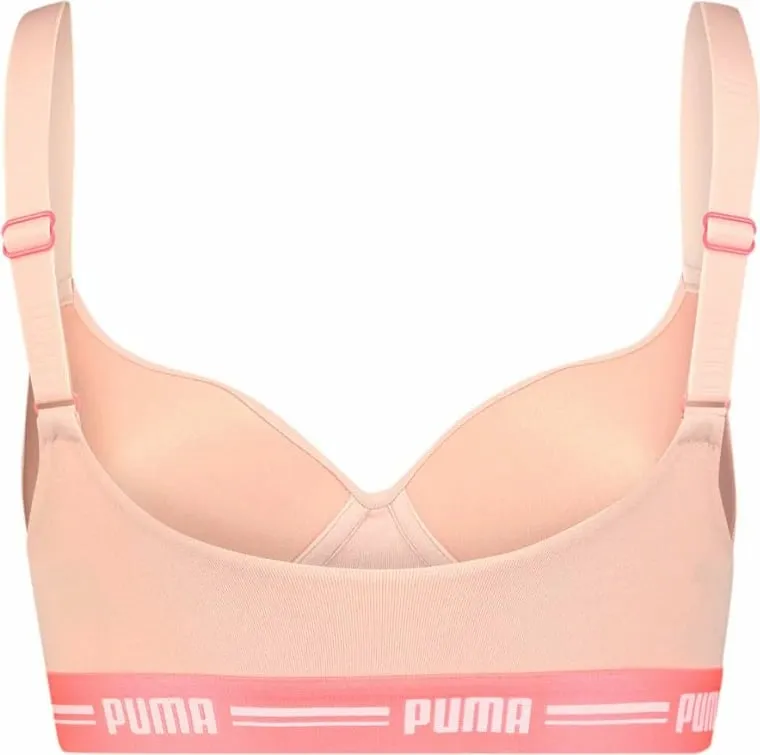 Pamja 3