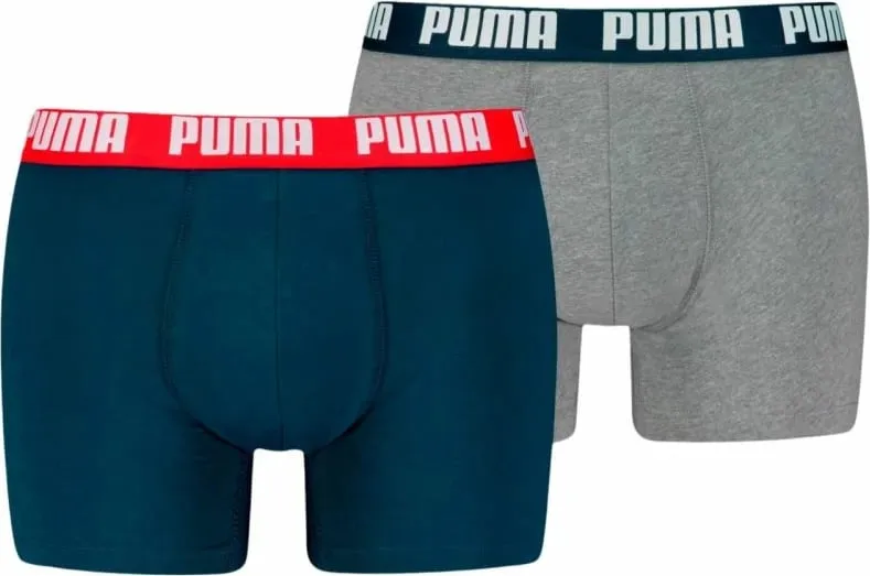 Pamja 1