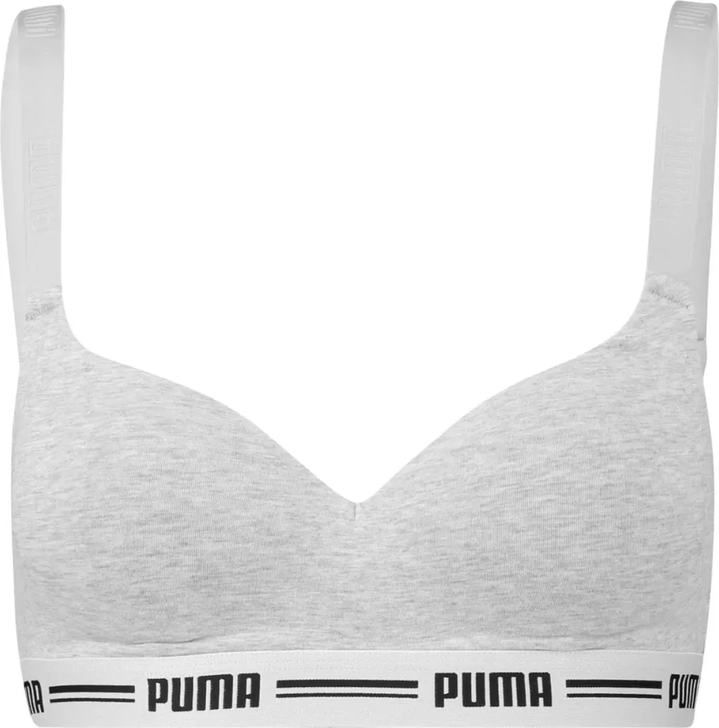Pamja 1