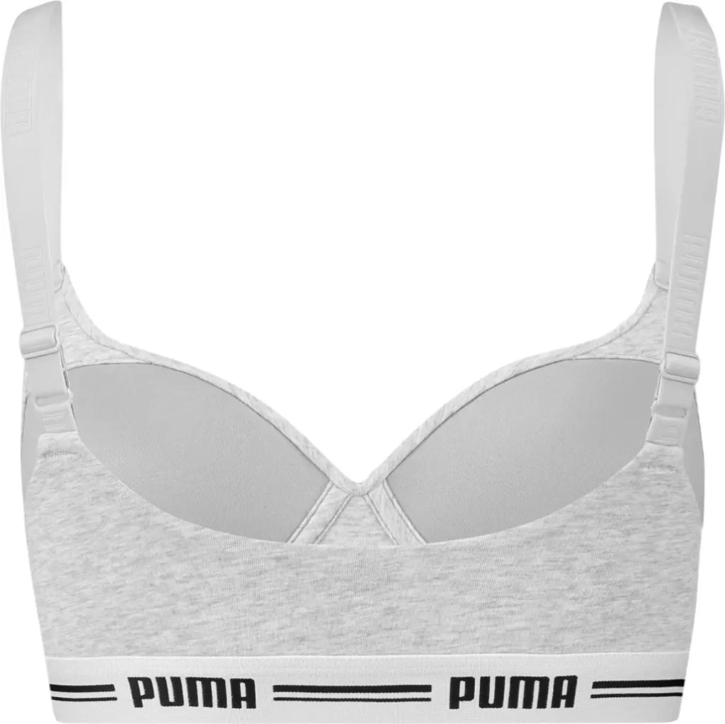 Pamja 2
