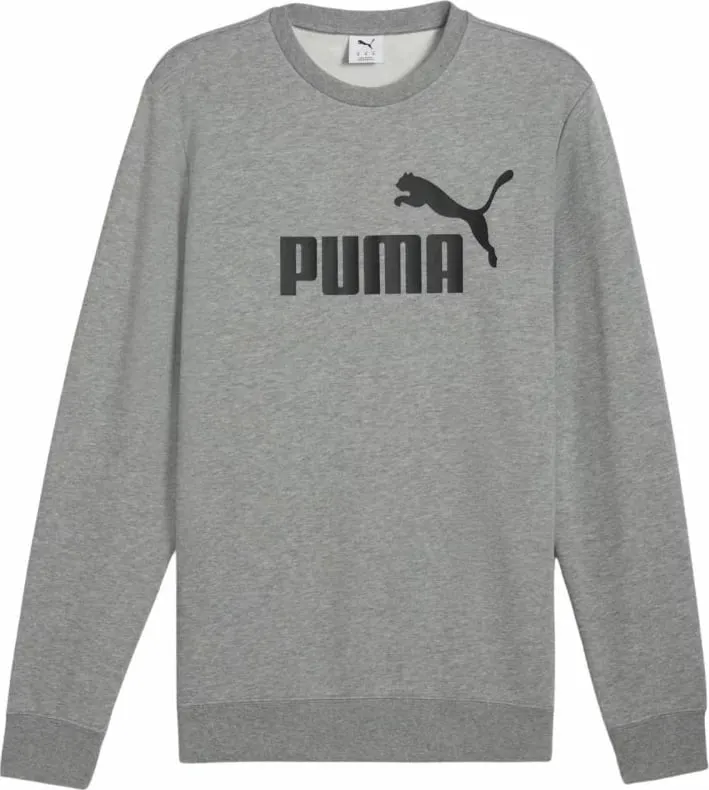Pamja 1