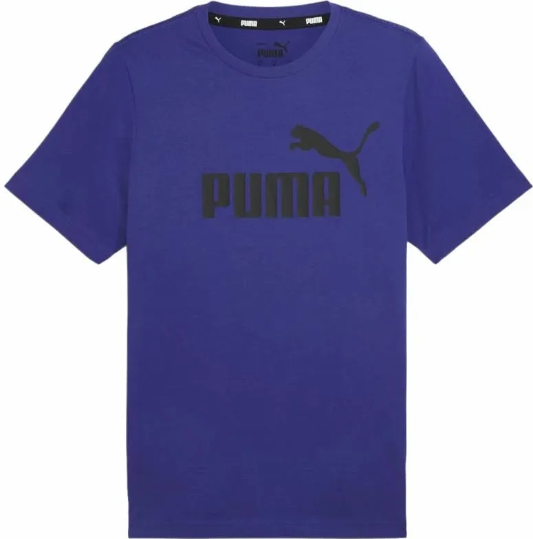Pamja 1