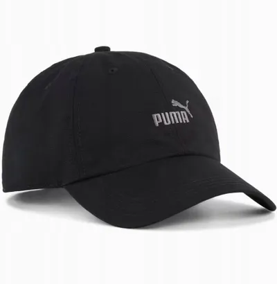 Pamja 1