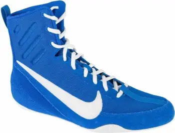 Atlete për meshkuj Nike, të kaltra