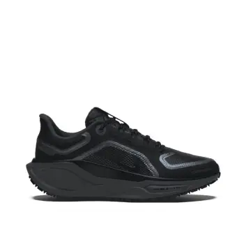 air zm pegasus 41 gtx
