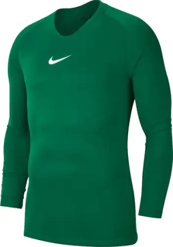 Nike T-Shirt për Meshkuj Dry Park, Ngjyrë e Gjelbër, Madhësia XXL (AV2609-302)
