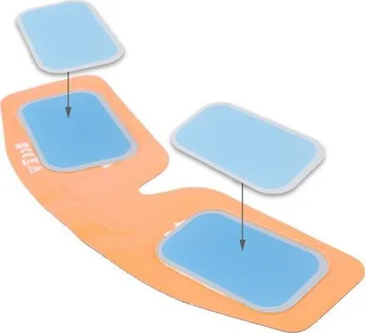 Pamja 2