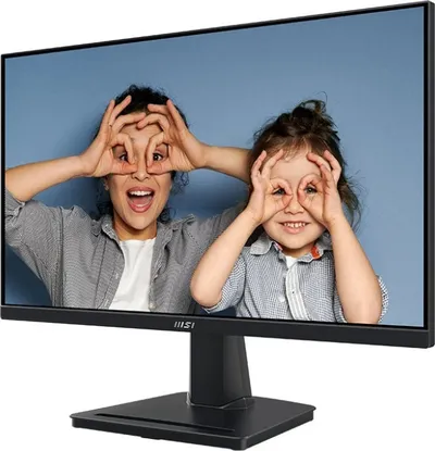 Pamja 11