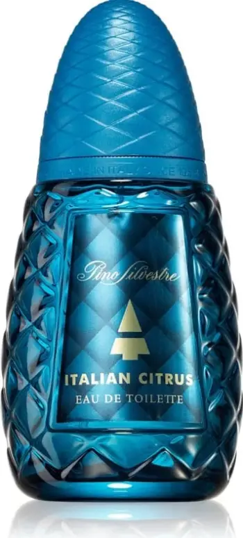 Eau De Toilette Pino Silvestre Original, 75 ml