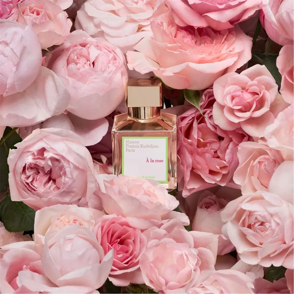 Maison Francis K A La Rose - 1