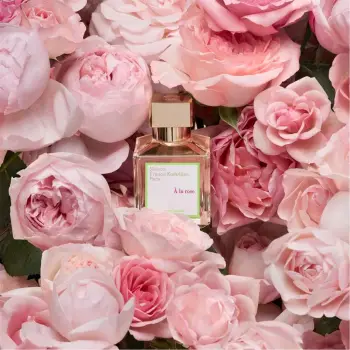 Maison Francis K A La Rose