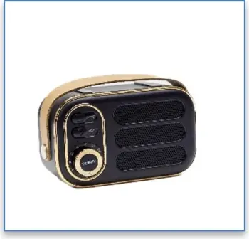 Sonit Mini Altoparlant me bluetooth - DW13