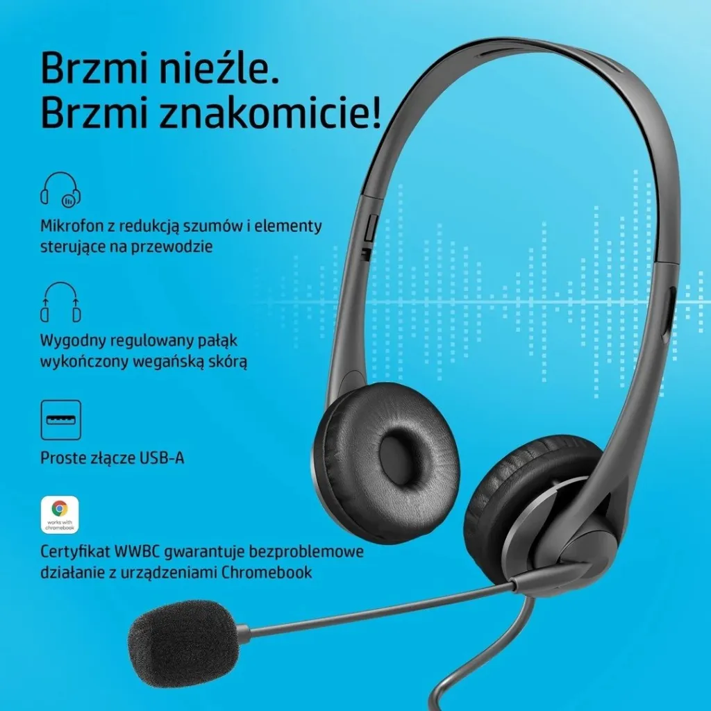 Pamja 19