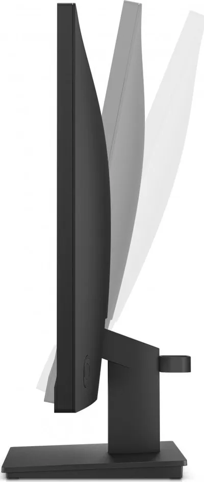 Pamja 3