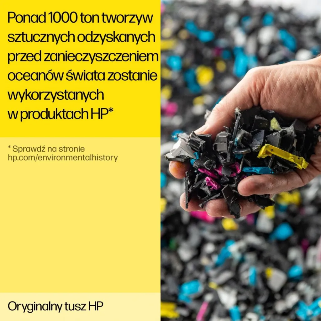 Pamja 11