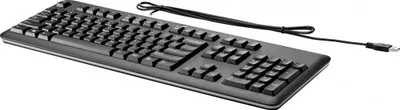 Tastierë HP Basis 2004, e zezë - 1
