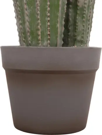 Bimë dekorative sintetike në vazo, lloj kaktusi, FH4743, 16x62cm
