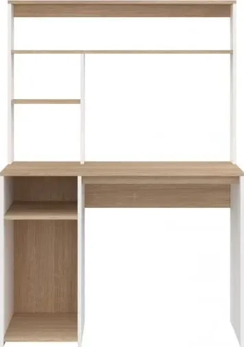 Pamja 3