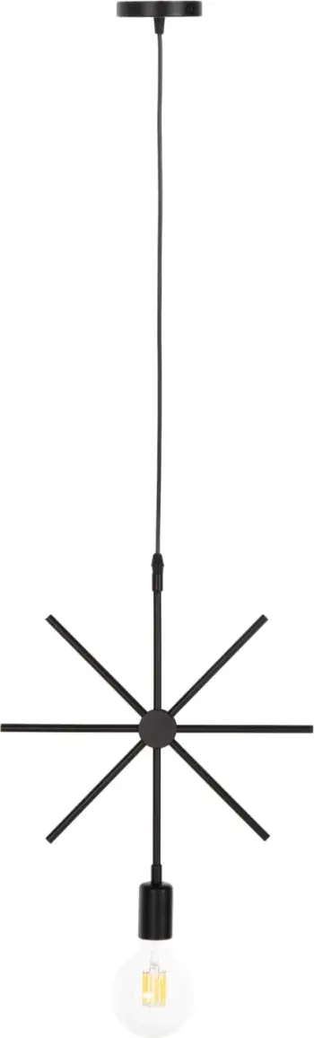 Llambë tavani (HM4098), zezë