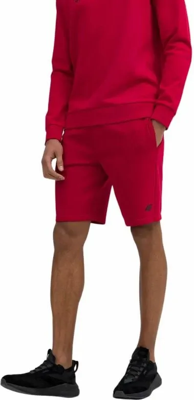 Pamja 2