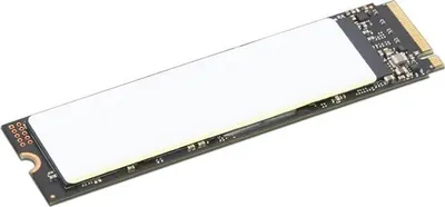 Pamja 1