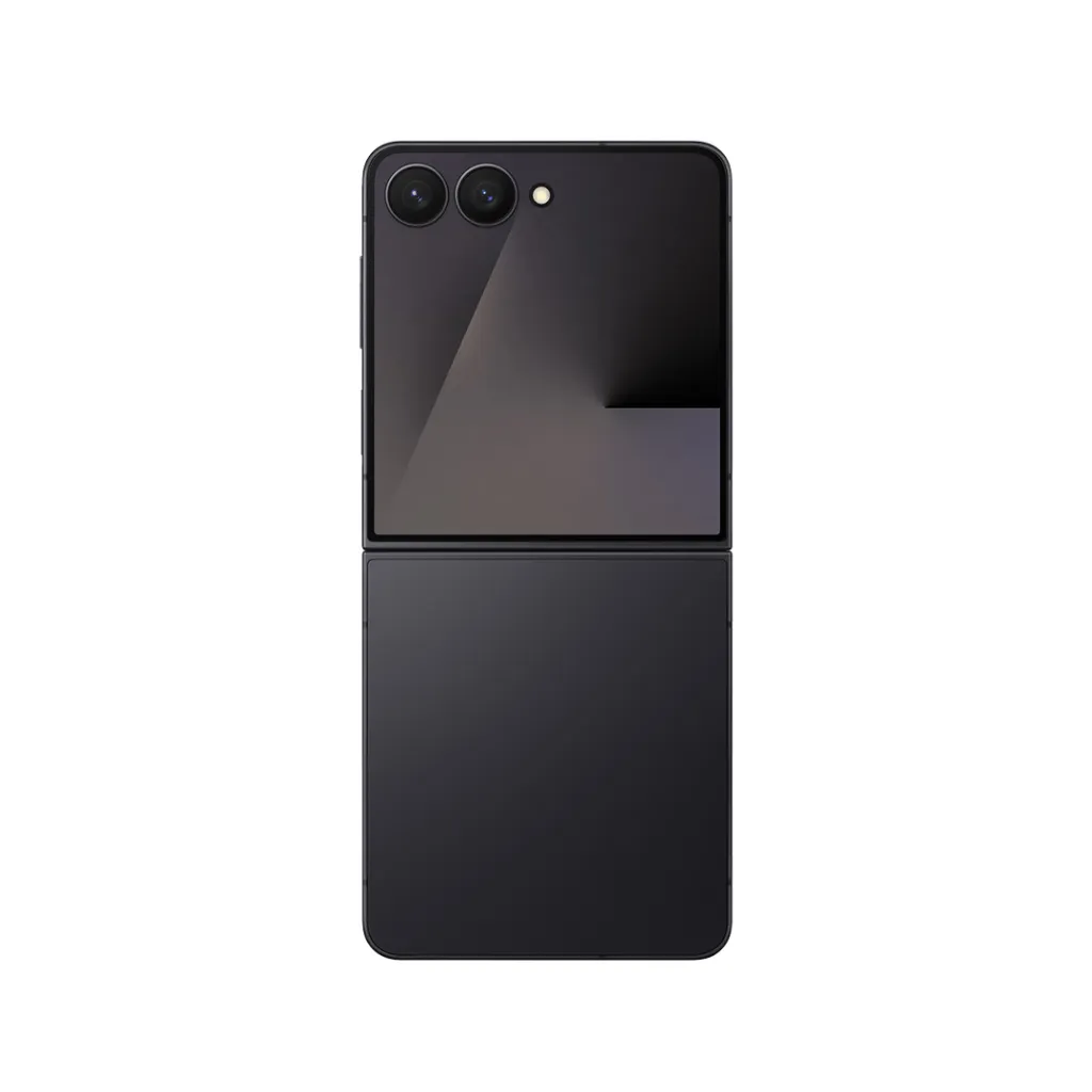 Pamja 6