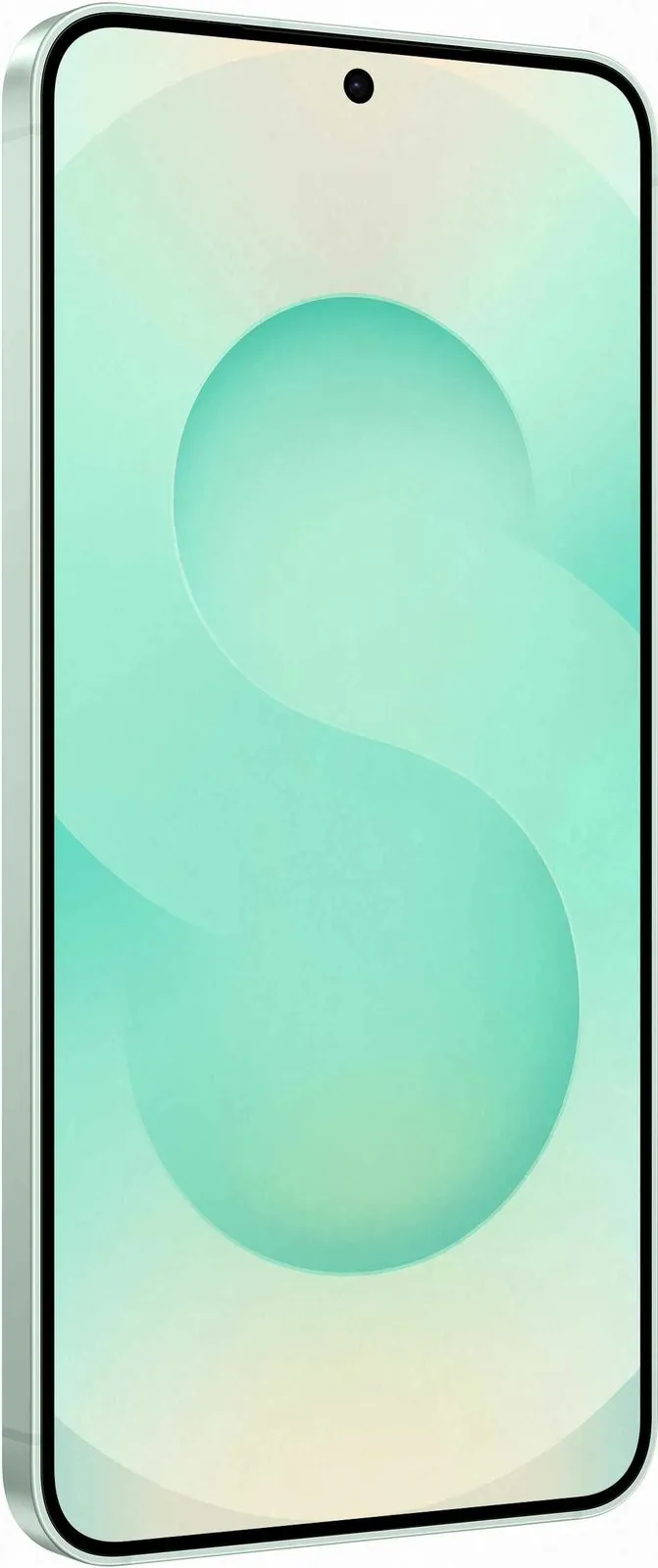 Pamja 6