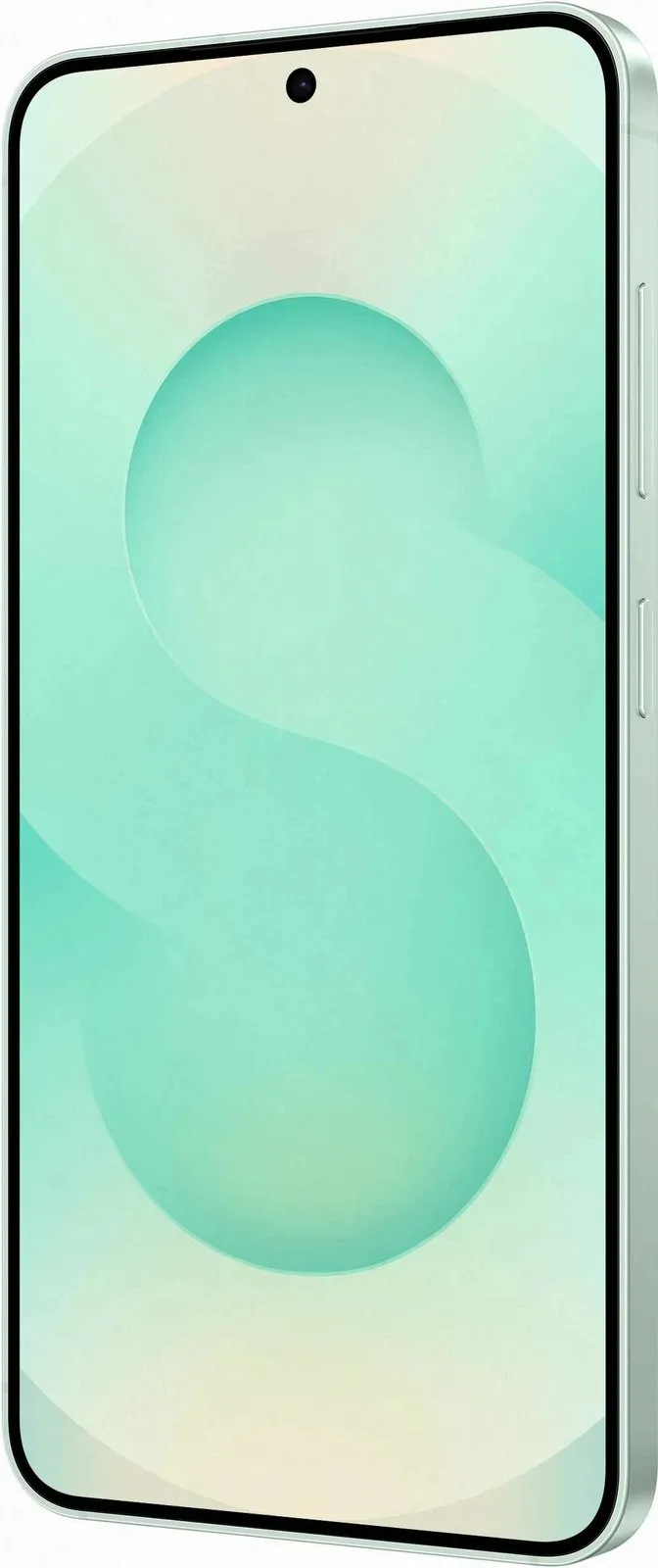 Pamja 7