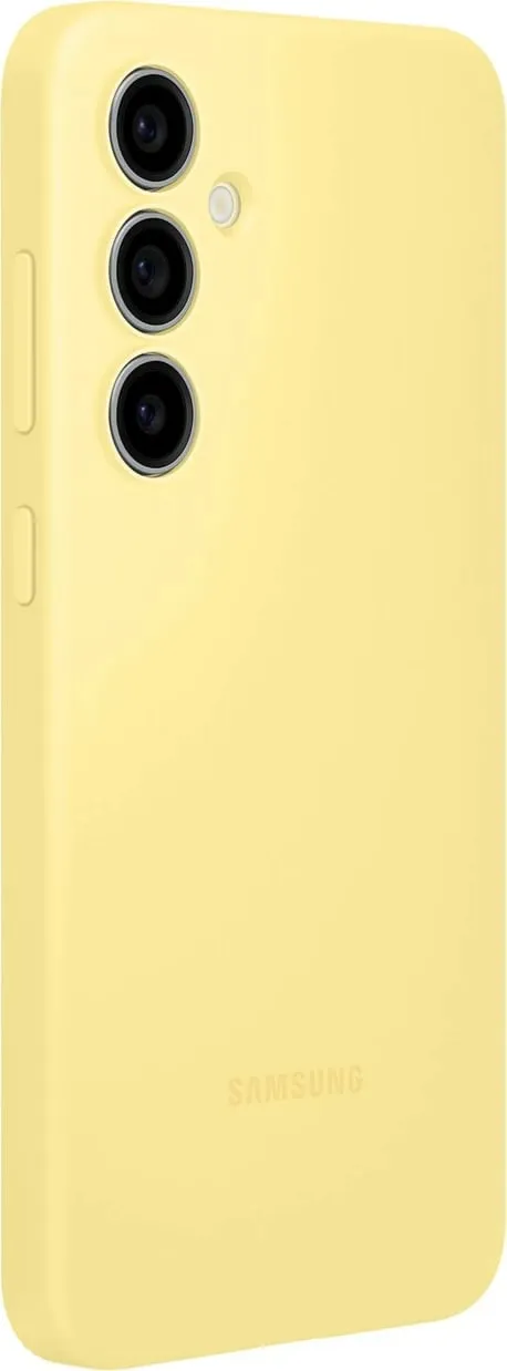 Pamja 3