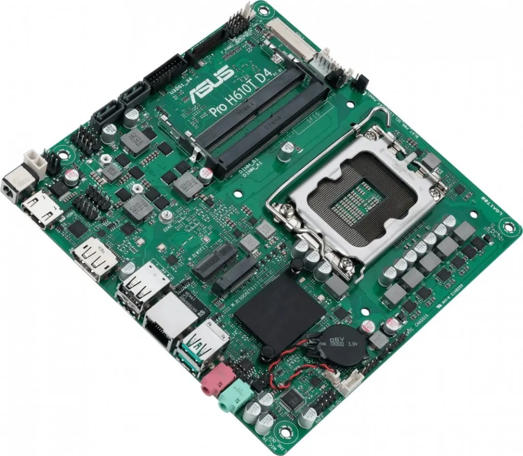 Pamja 11