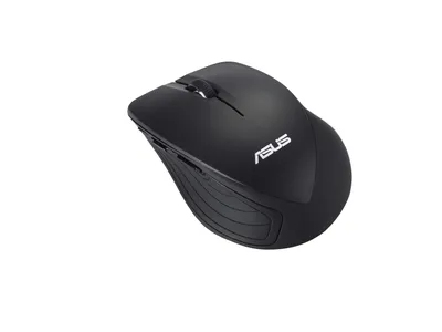 Pamja 2