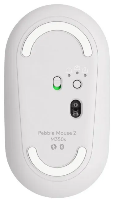 Pamja 6