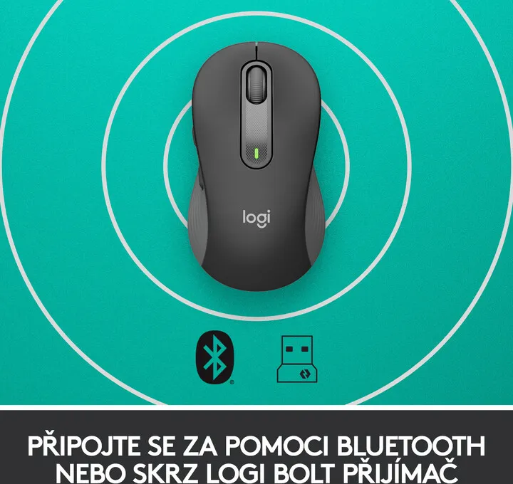 Pamja 6
