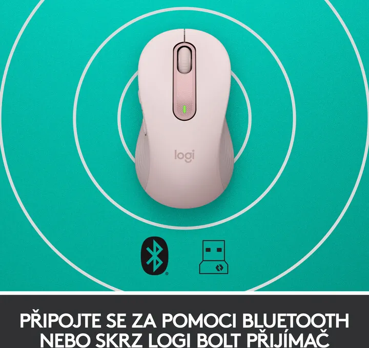 Pamja 6