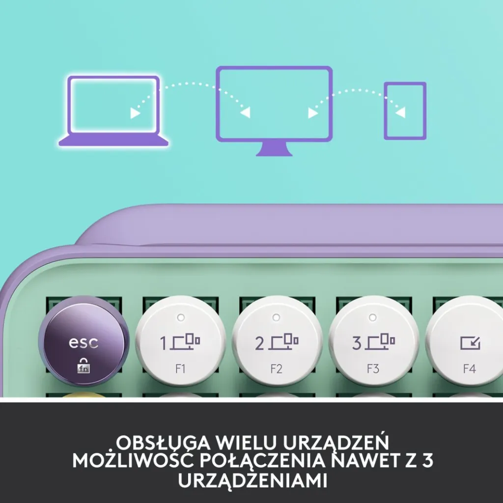Pamja 8