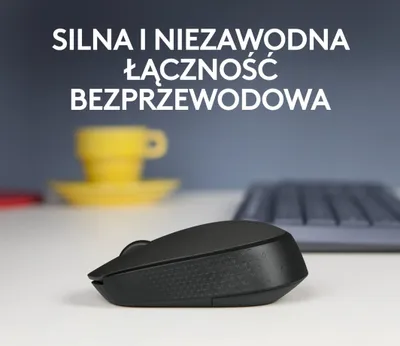Pamja 3